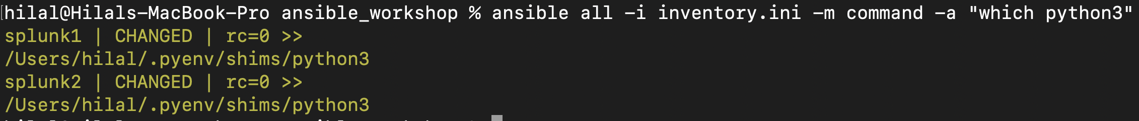 Expected Output: which python3 Command